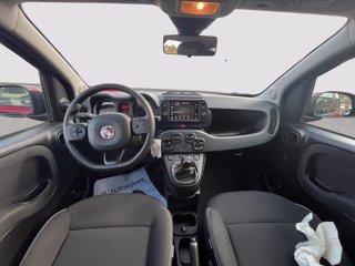 FIAT Panda 1.0 firefly hybrid Cross s&s 70cv 5p.ti