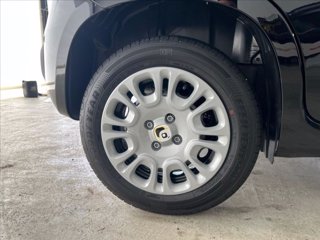 FIAT Panda 1.0 firefly hybrid s&s 70cv 5p.ti