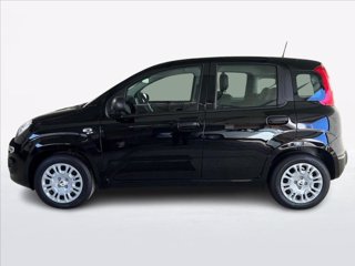FIAT Panda 1.0 firefly hybrid s&s 70cv 5p.ti