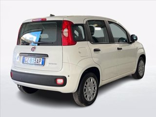 FIAT Pandina 1.0 firefly hybrid s&s 70cv