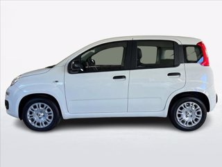 FIAT Pandina 1.0 firefly hybrid s&s 70cv