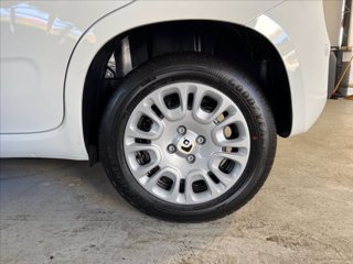 FIAT Pandina 1.0 firefly hybrid s&s 70cv