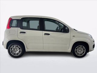 FIAT Pandina 1.0 firefly hybrid s&s 70cv