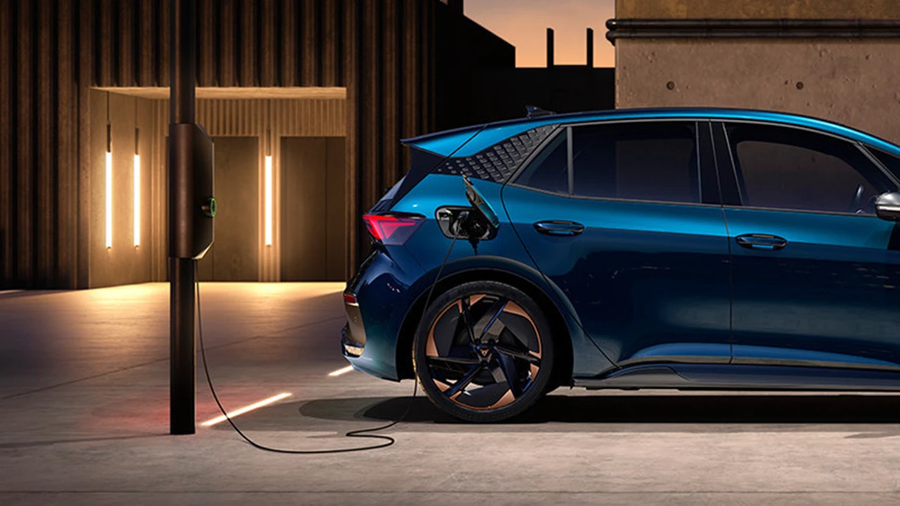 Cupra Born Section 1