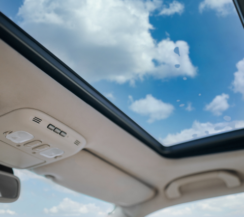 Senza Titolo (480 X 426 Px) (1)