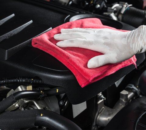 Senza Titolo (480 X 426 Px) (2)